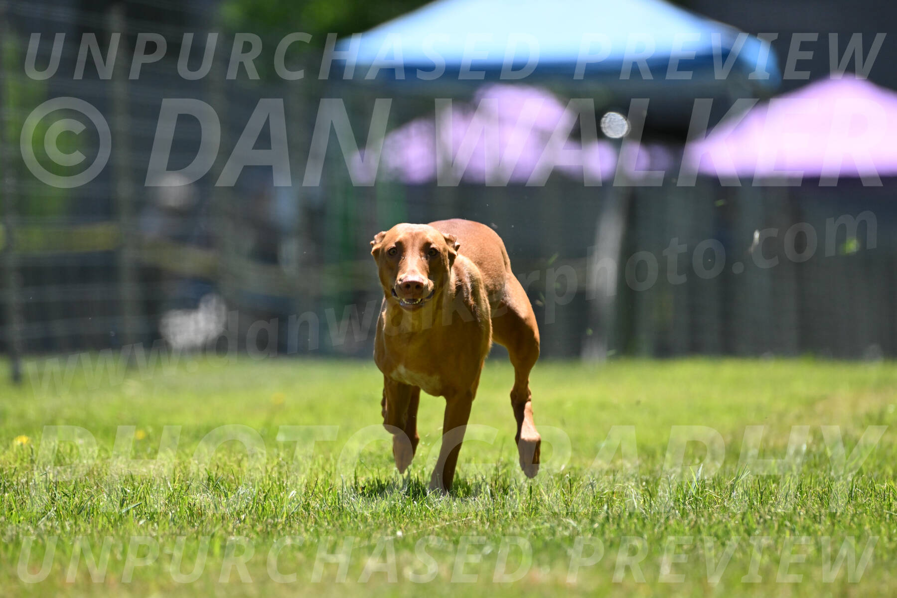SUN_0435