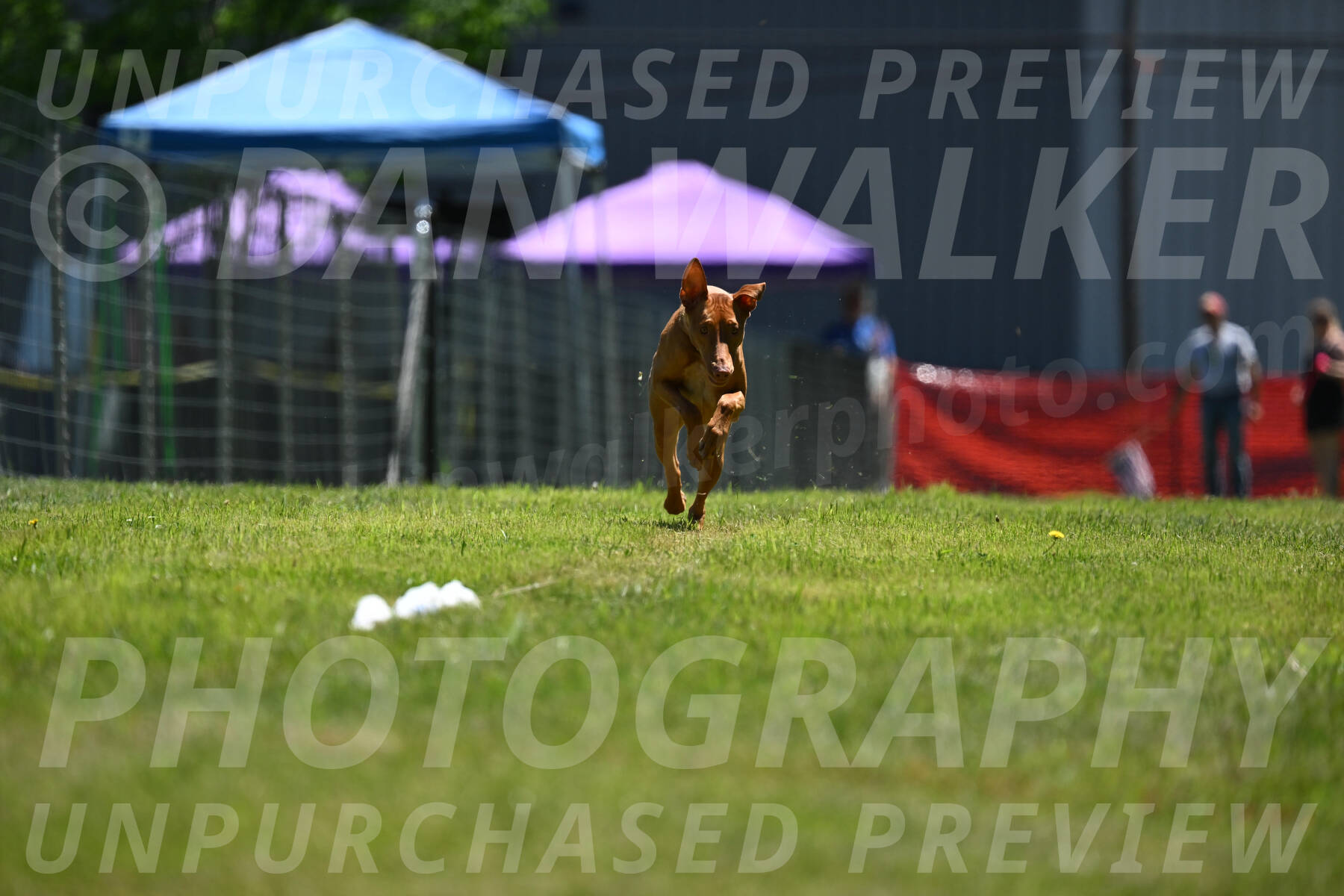 SUN_0946