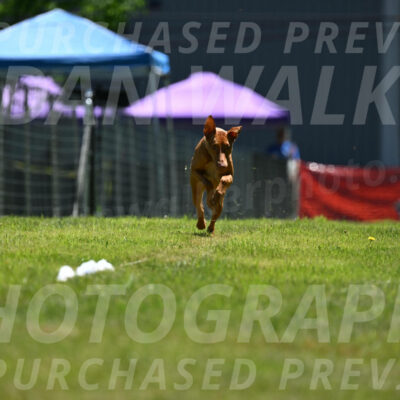 SUN_0946