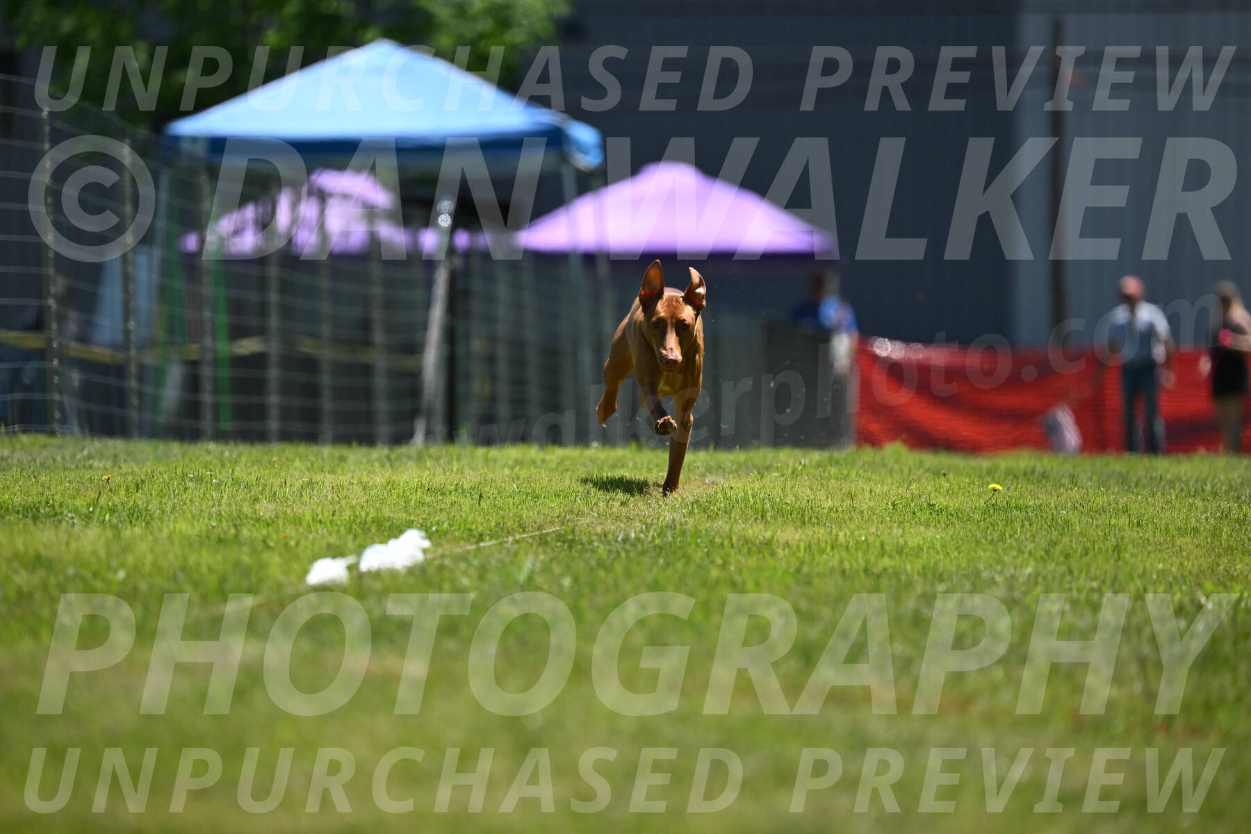 SUN_0948
