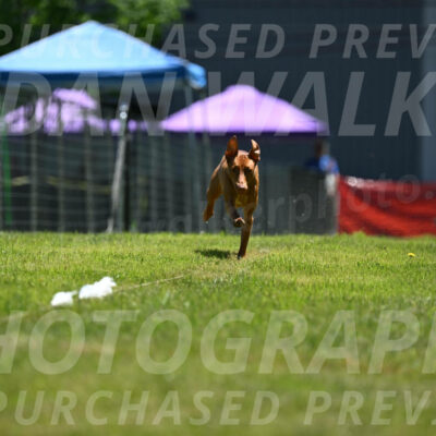 SUN_0948