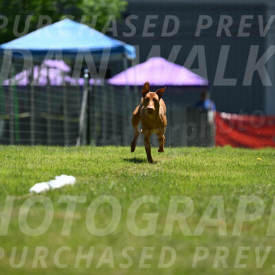 SUN_0949