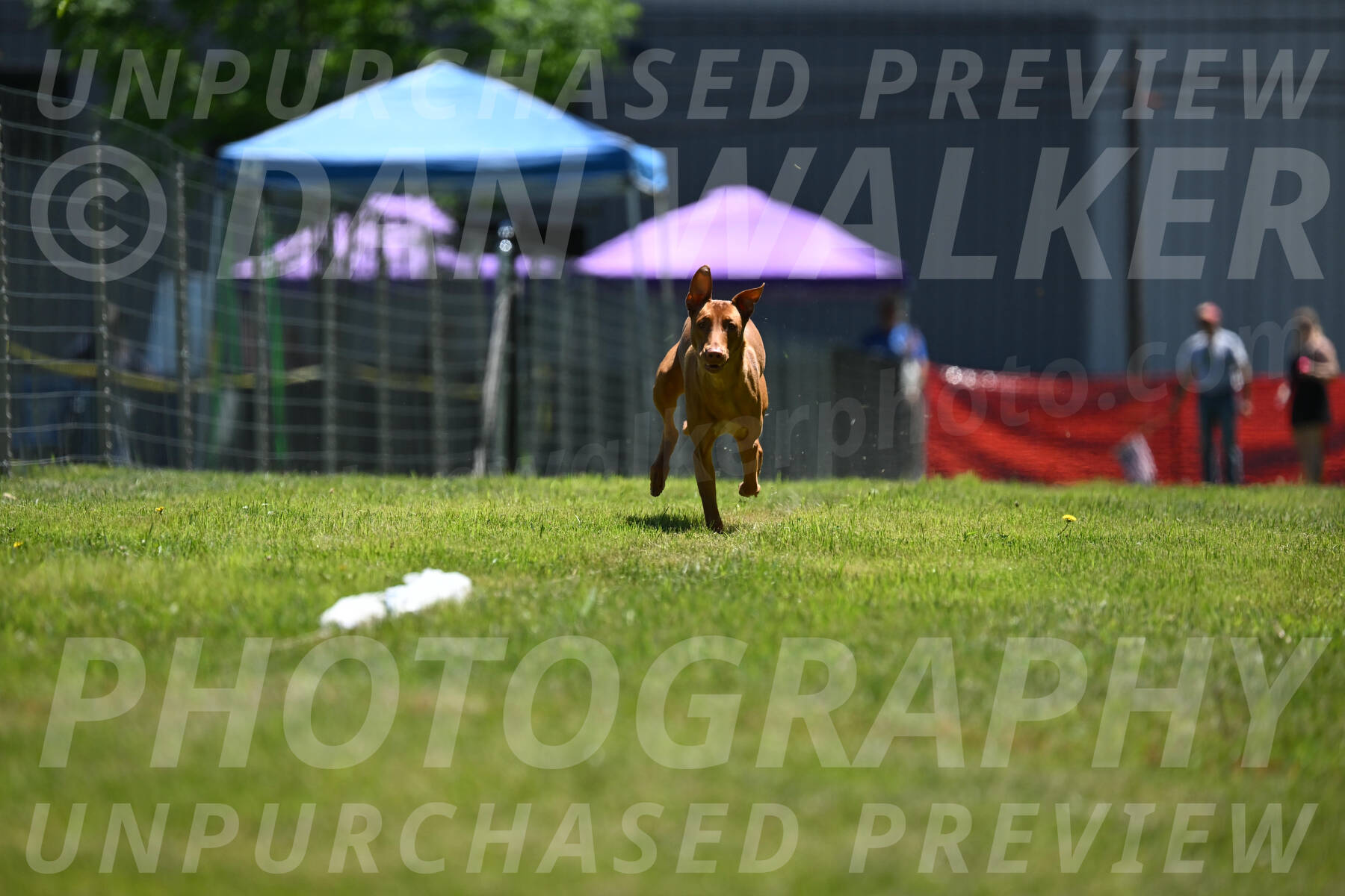 SUN_0949