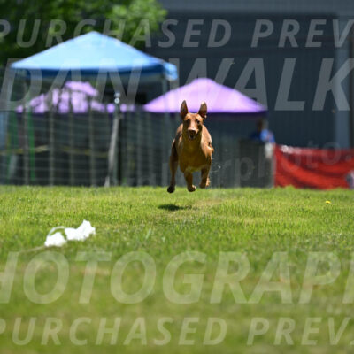 SUN_0950