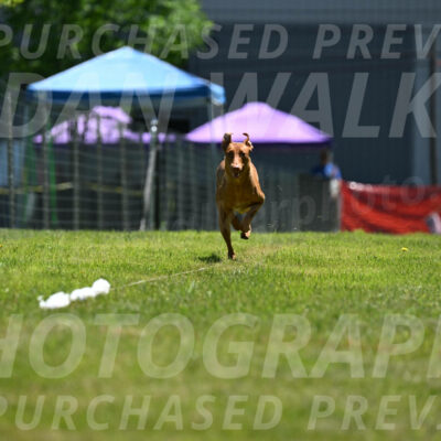 SUN_0951