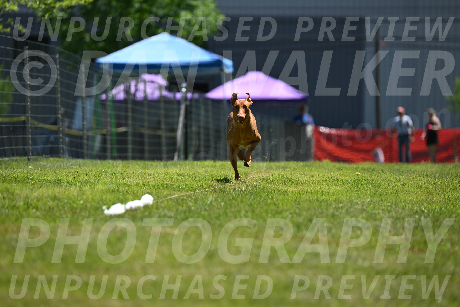 SUN_0951