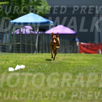 SUN_0952