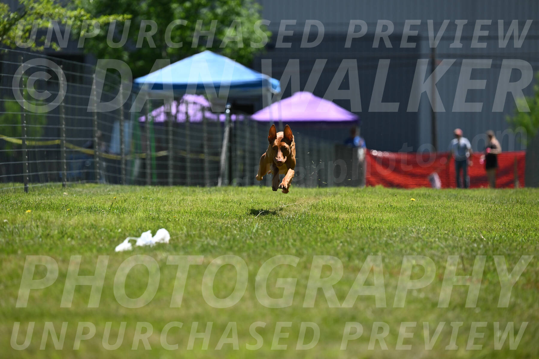 SUN_0953
