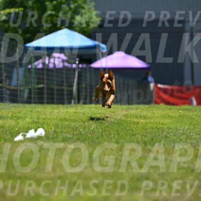 SUN_0953