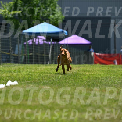 SUN_0955