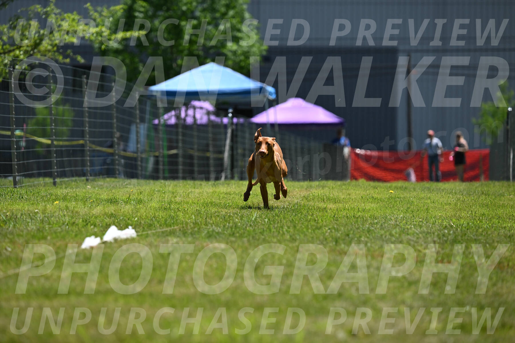 SUN_0955