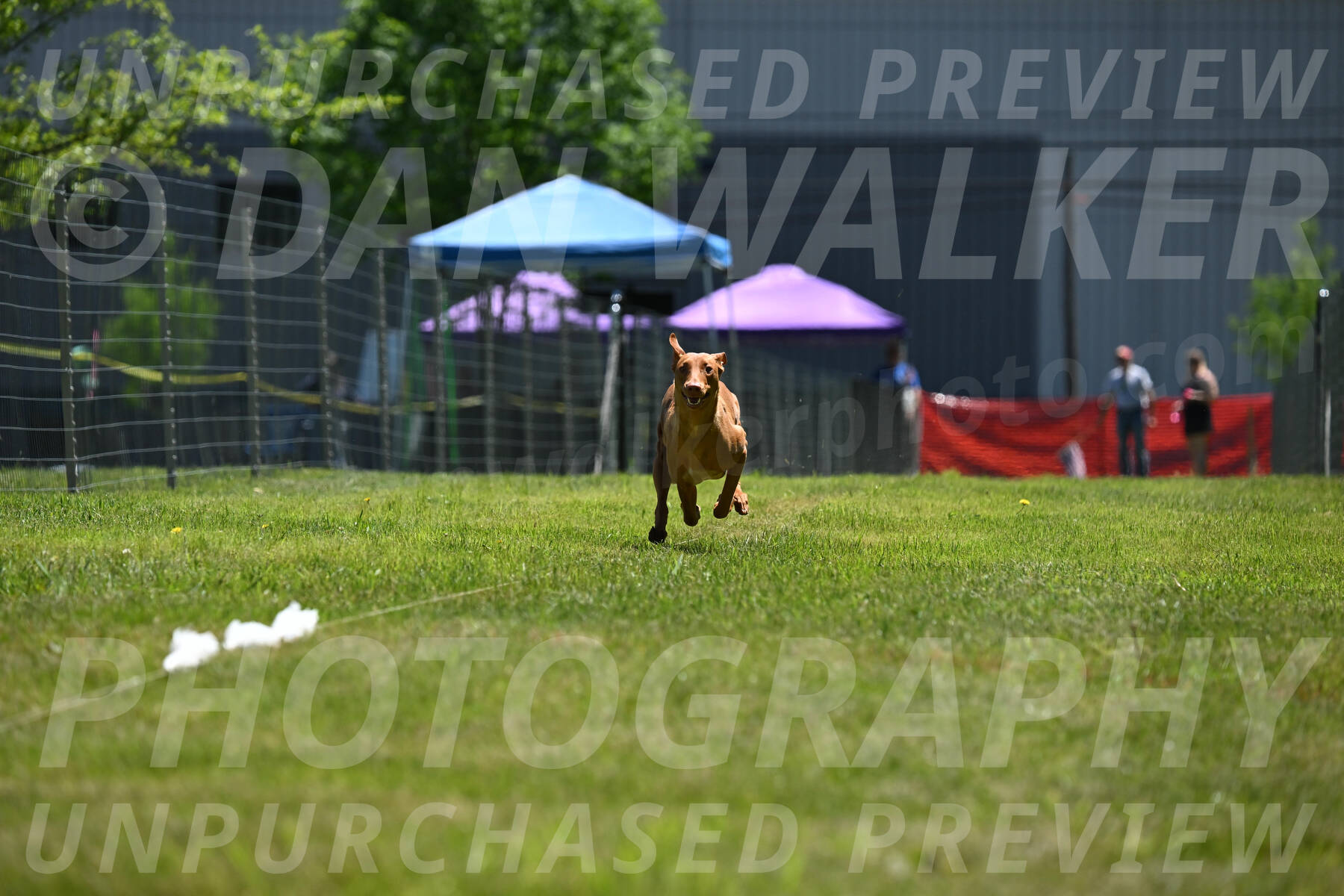 SUN_0956