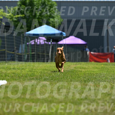 SUN_0957