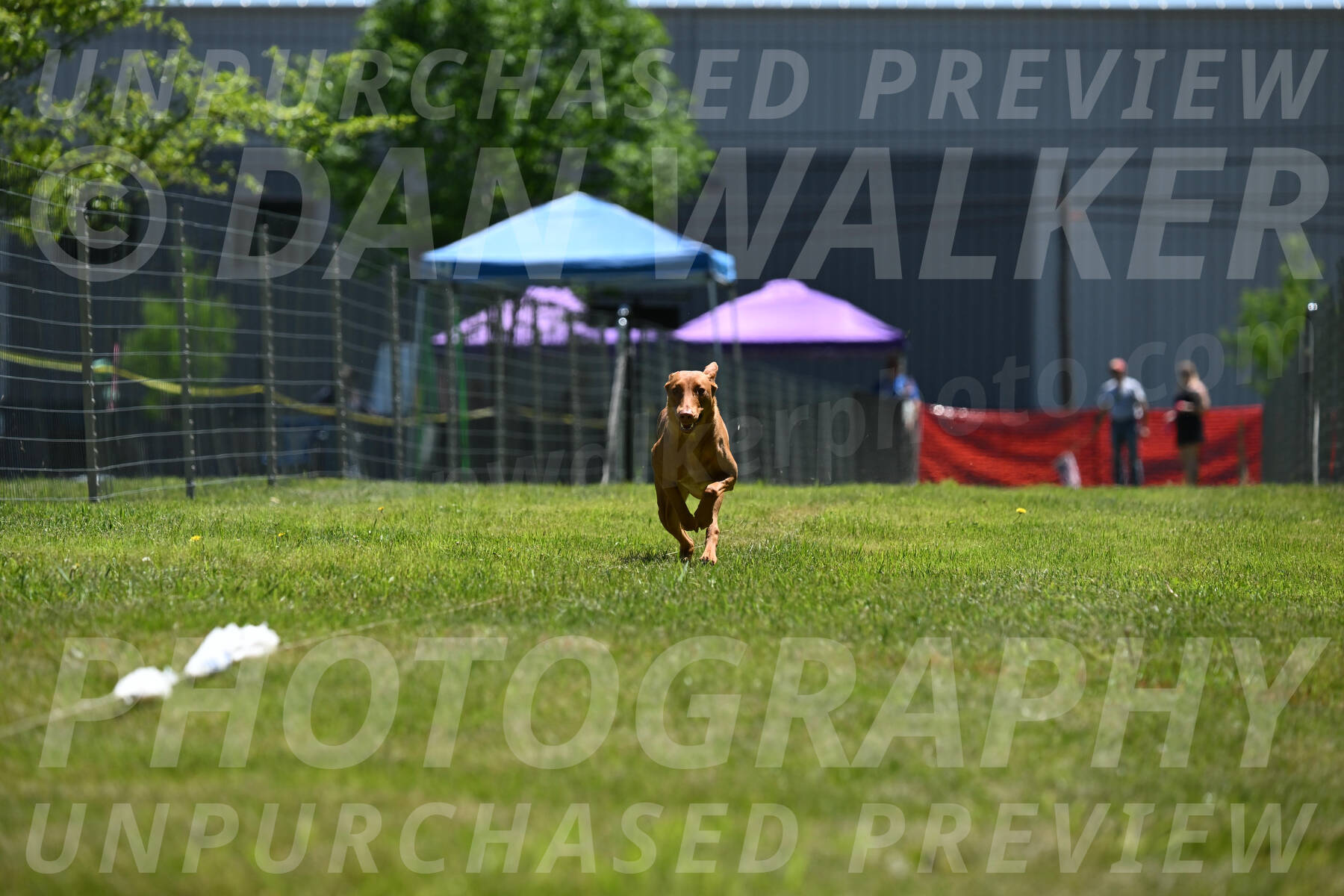 SUN_0957