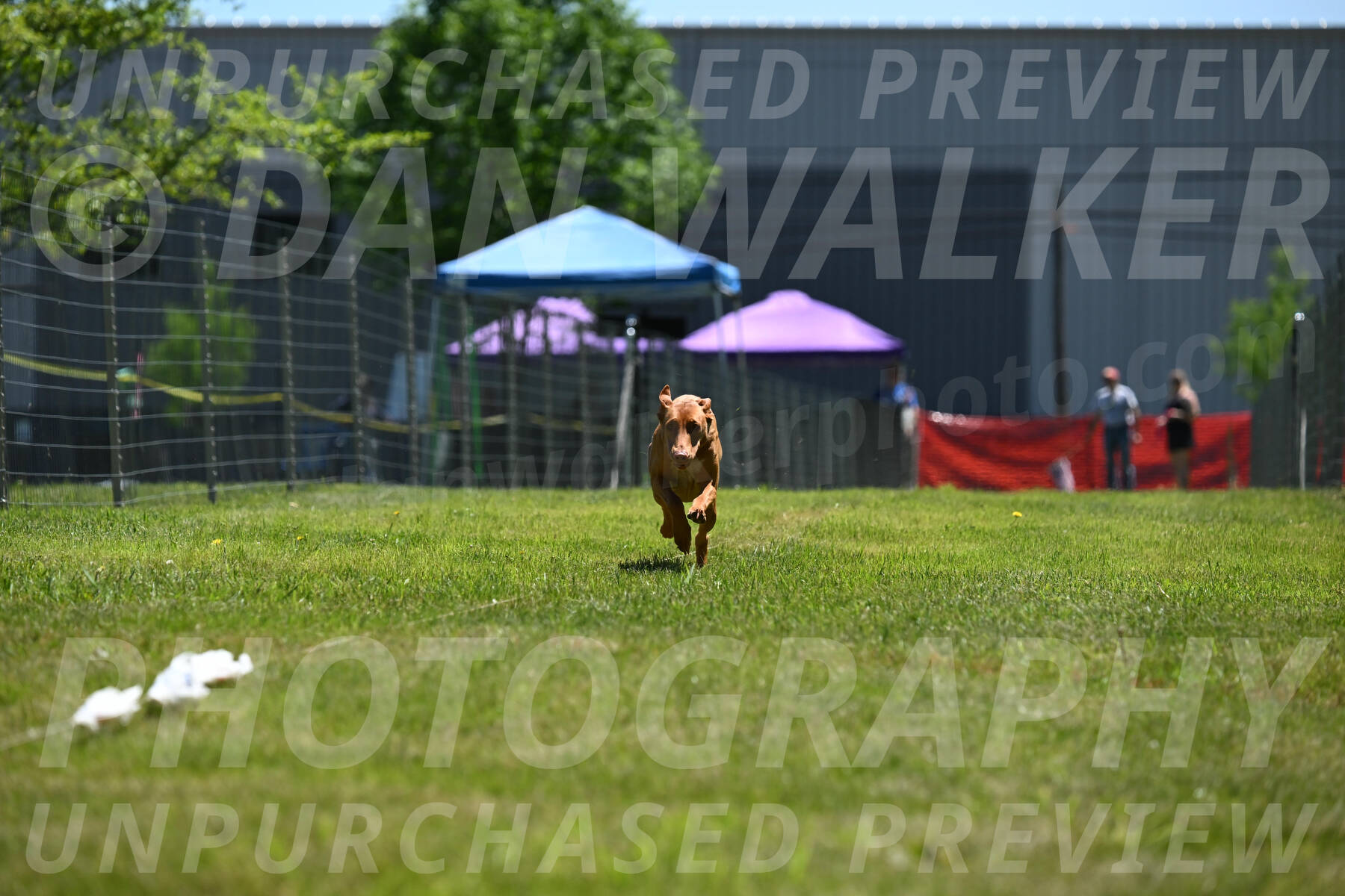 SUN_0958
