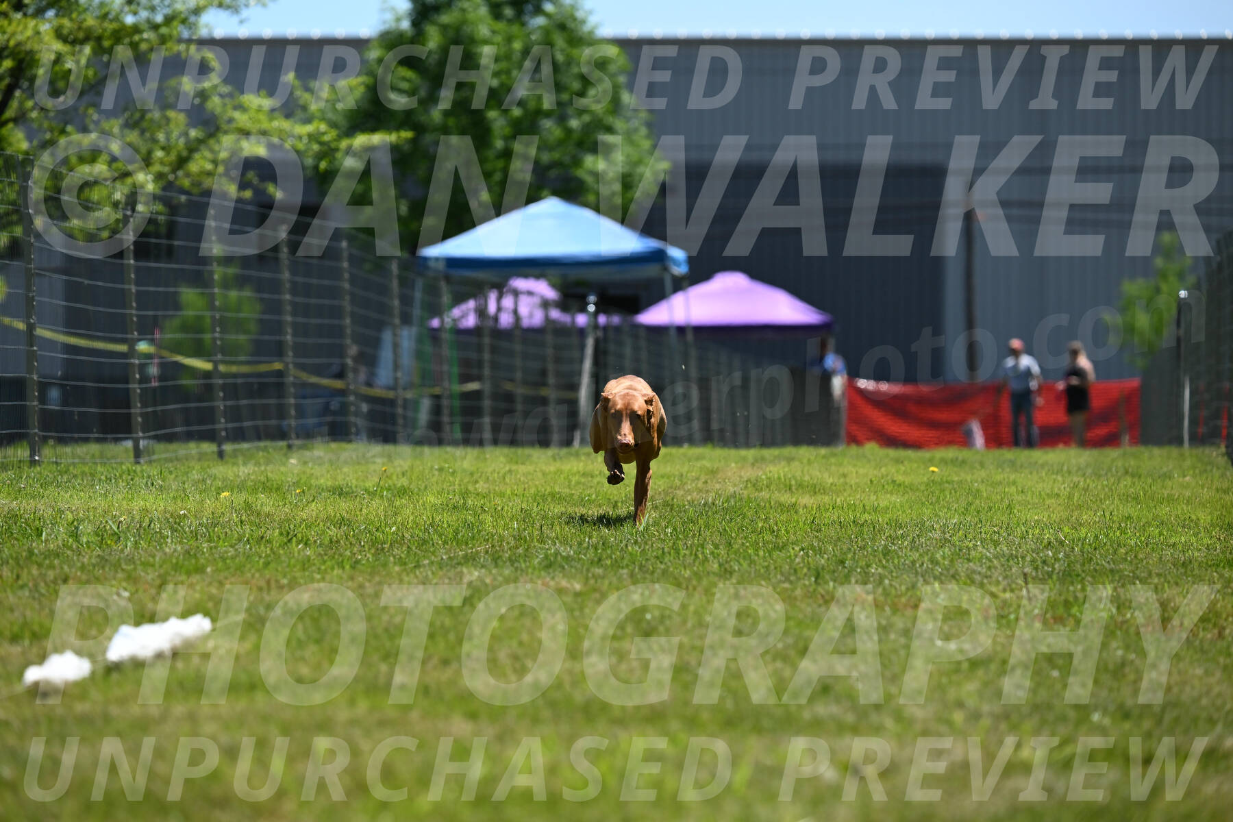SUN_0959