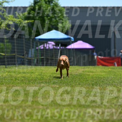 SUN_0960