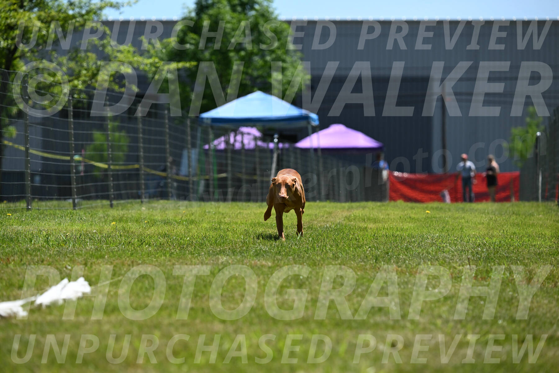 SUN_0960