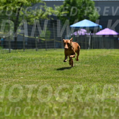 SUN_0961