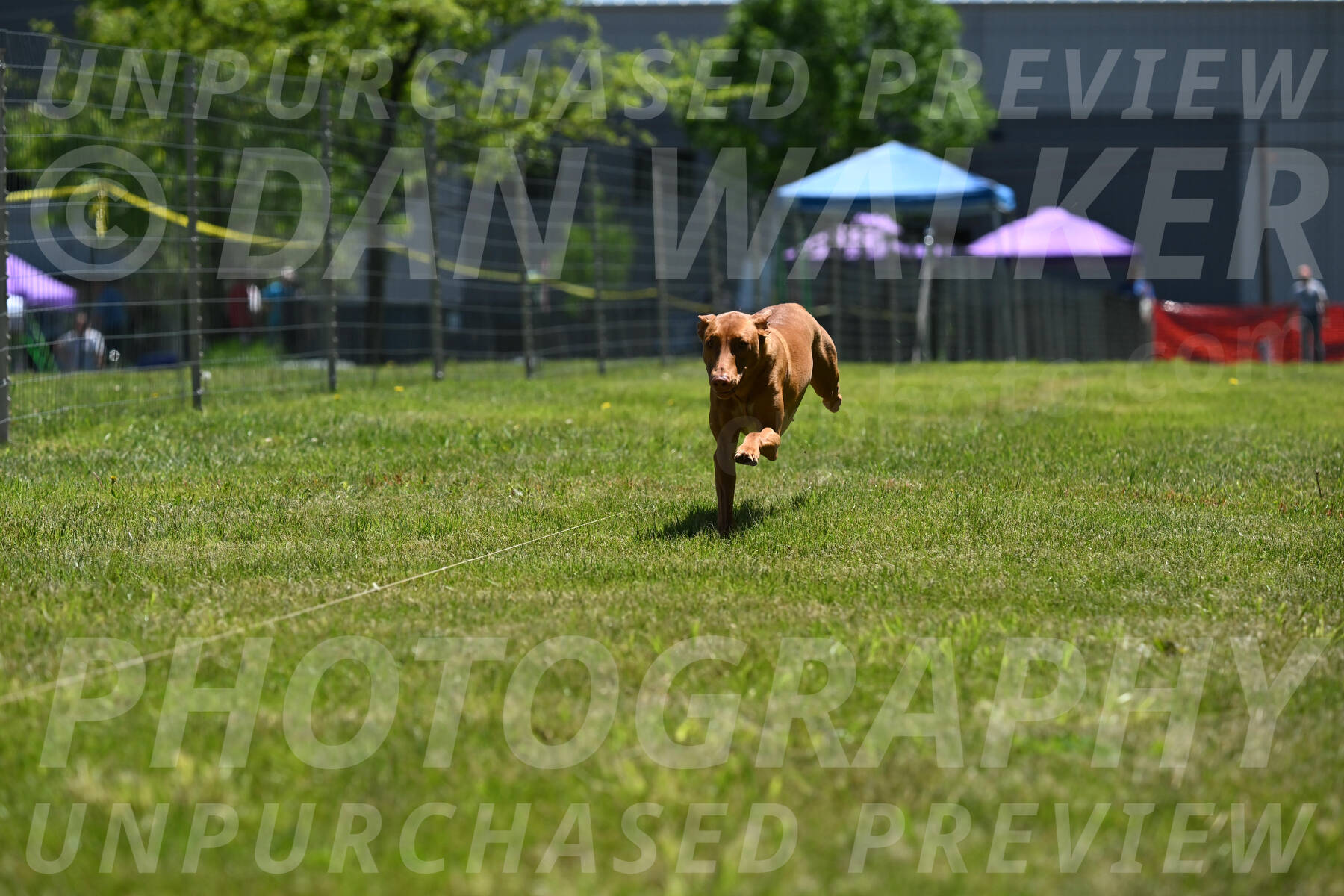 SUN_0962