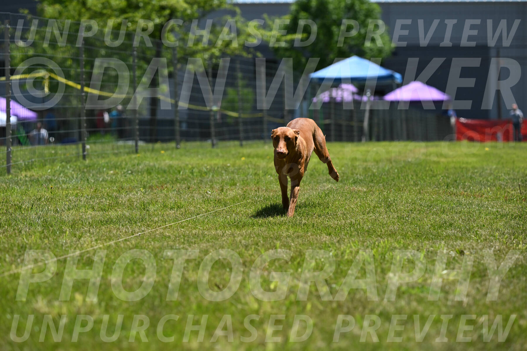 SUN_0963