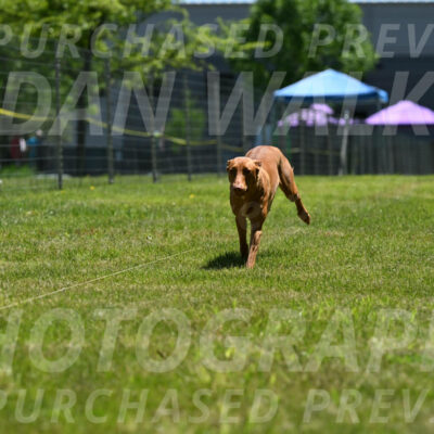 SUN_0963