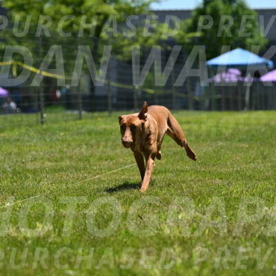 SUN_0967