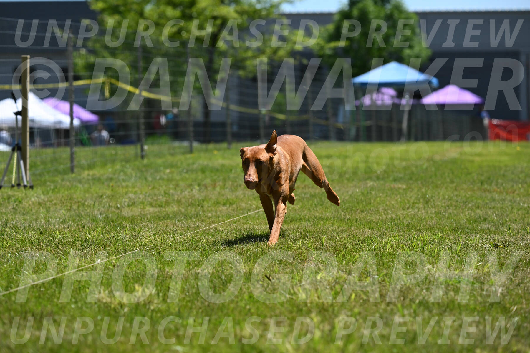 SUN_0967