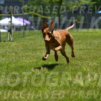SUN_0971