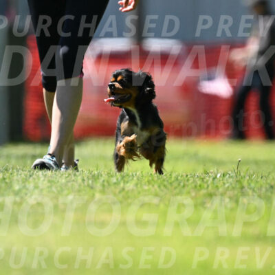 SAT_1194