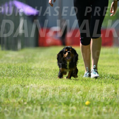 SAT_1253