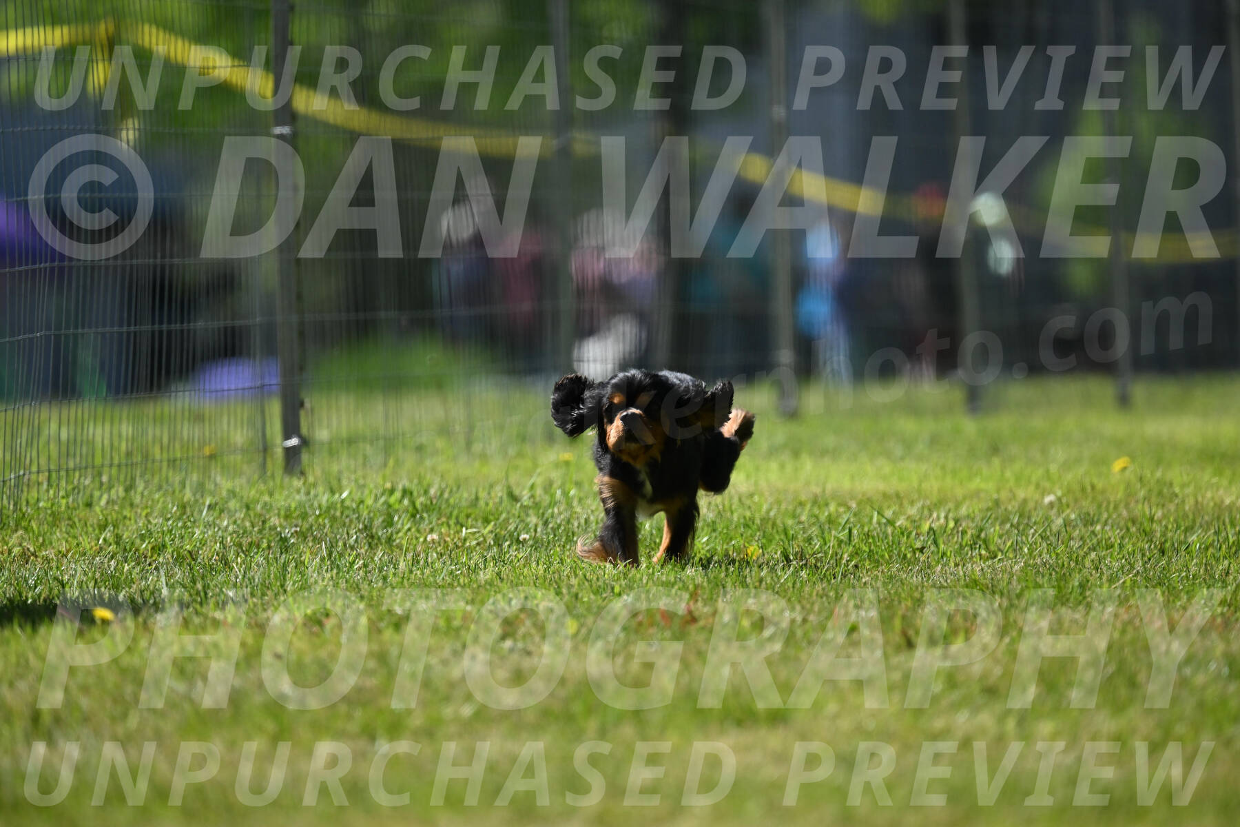SUN_2450