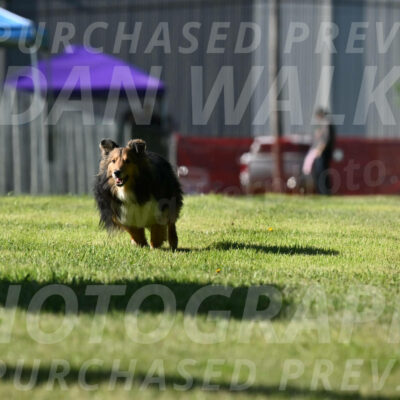 SAT_0312