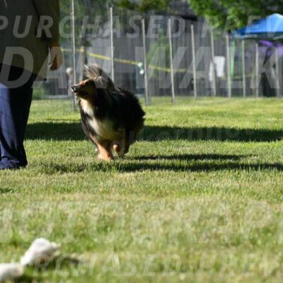 SAT_0328
