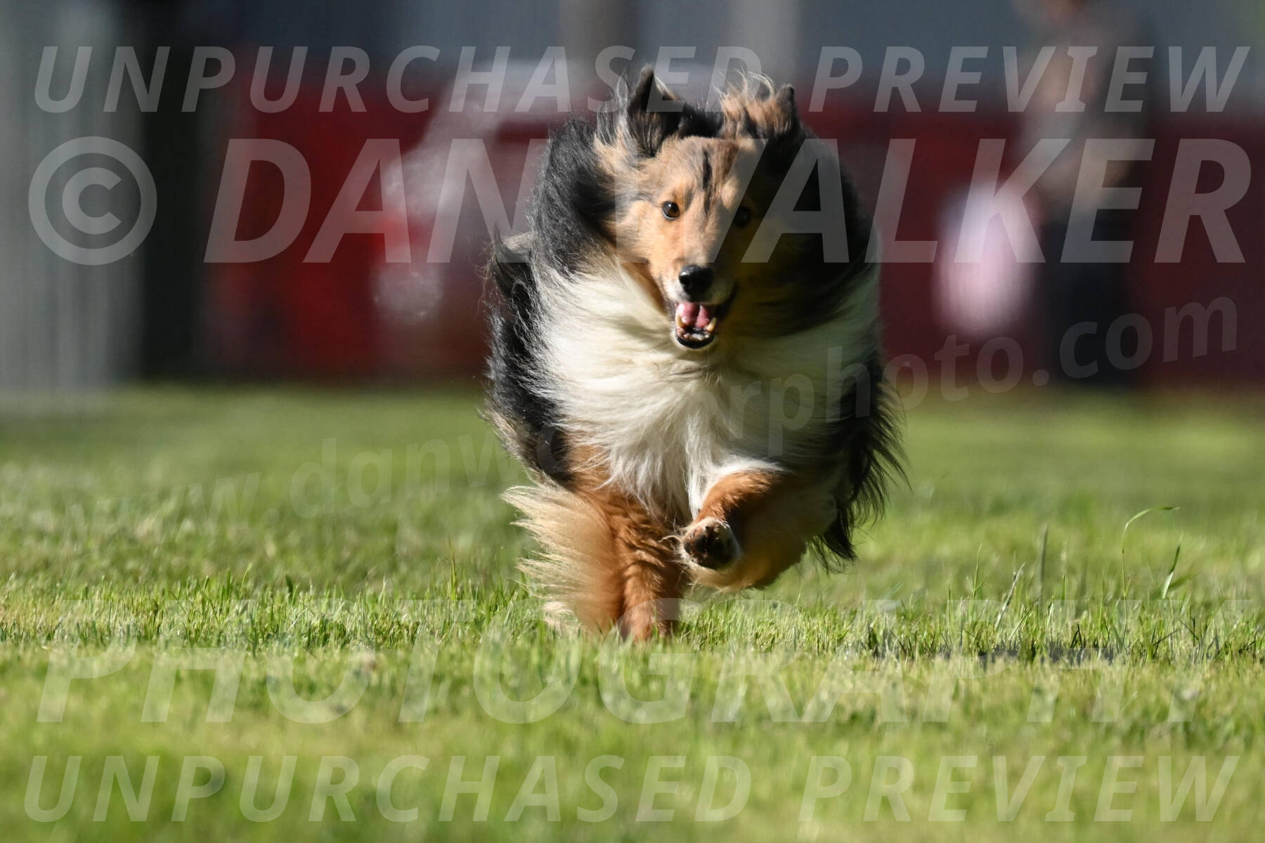 SAT_1095
