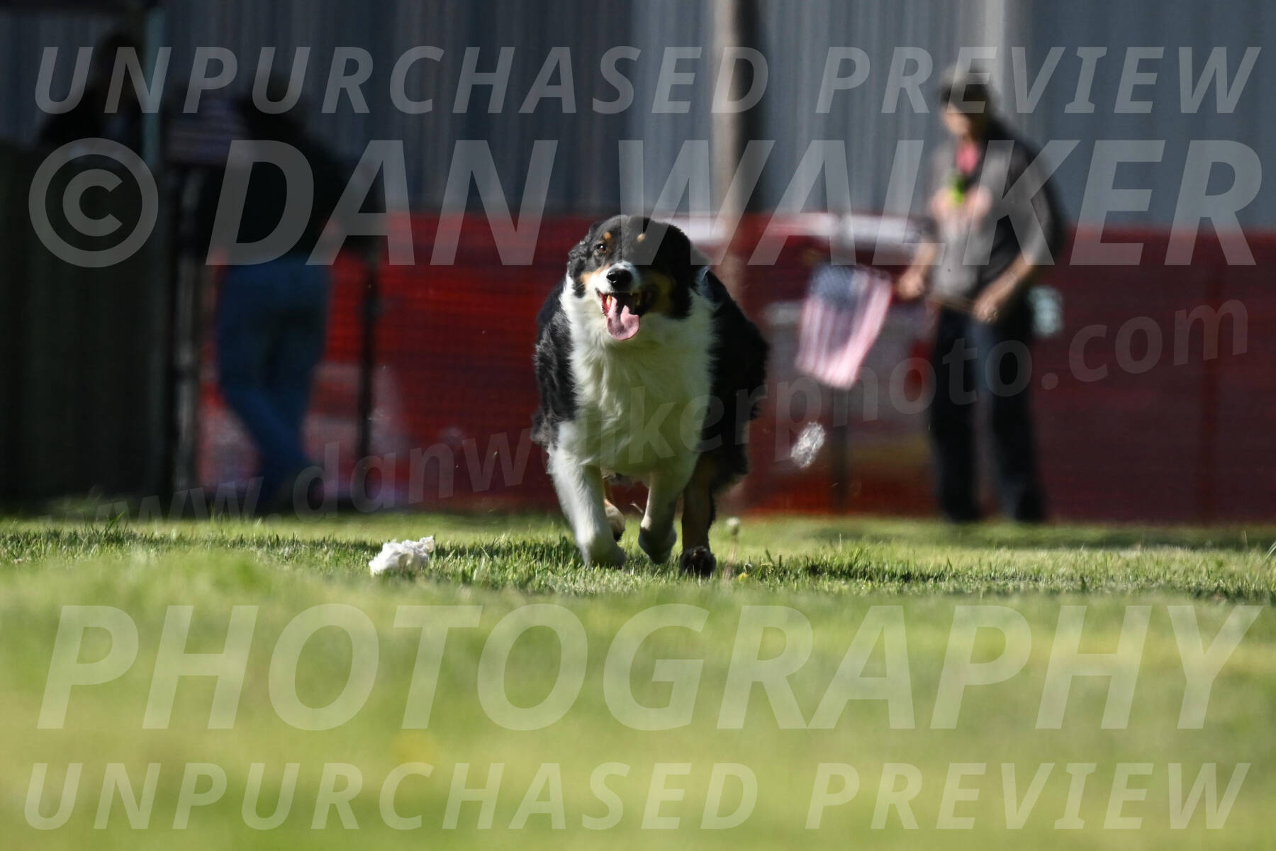 SAT_0985