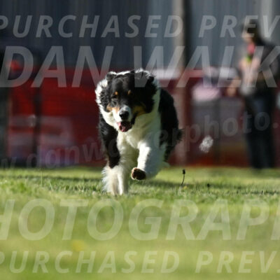 SAT_0997
