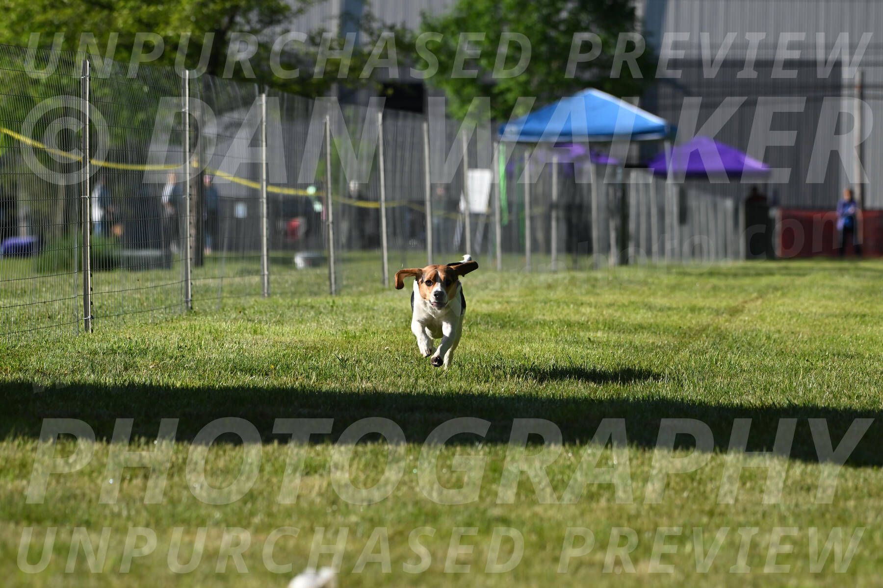 SUN_0038