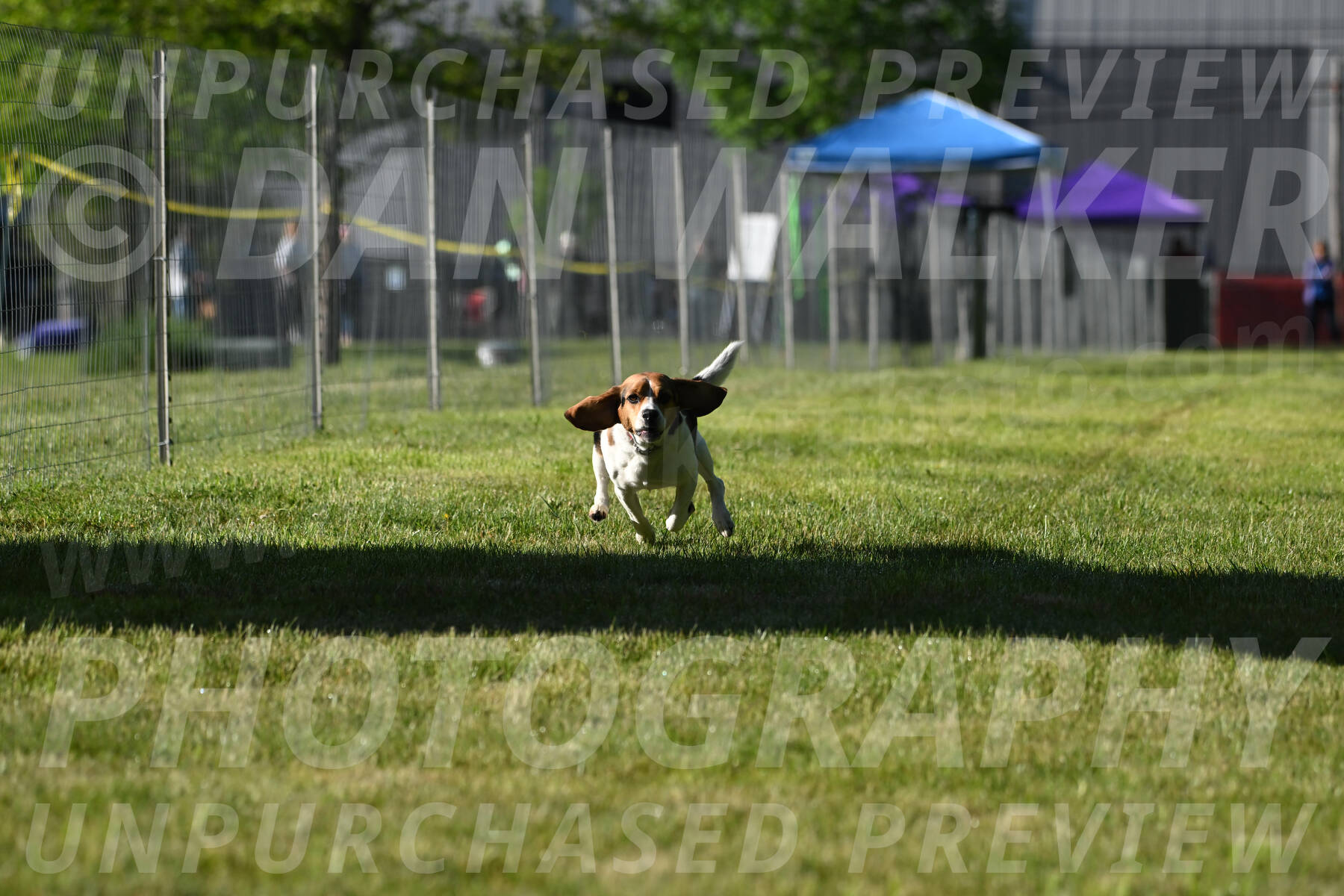 SUN_0040
