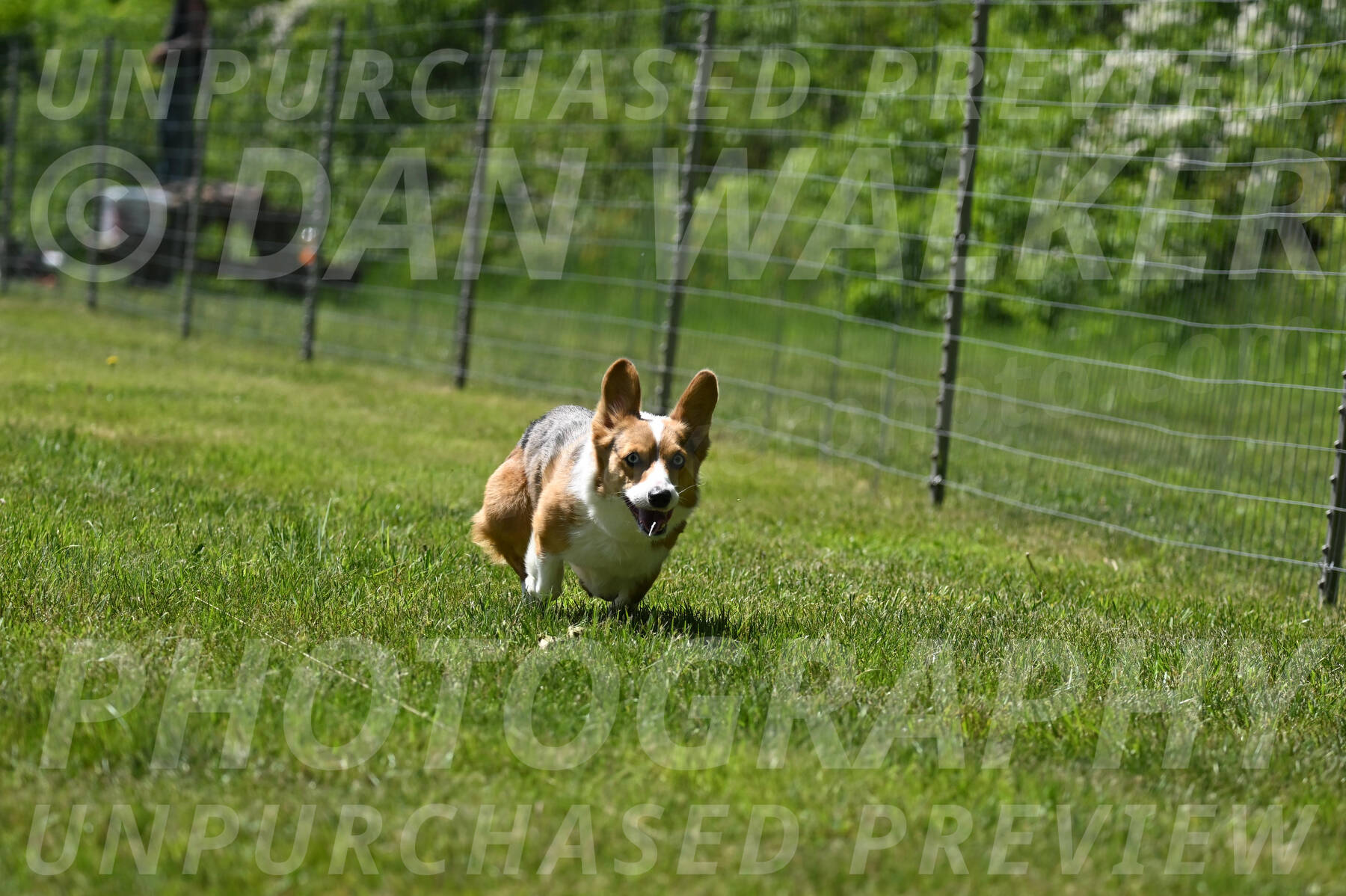 SAT_3053