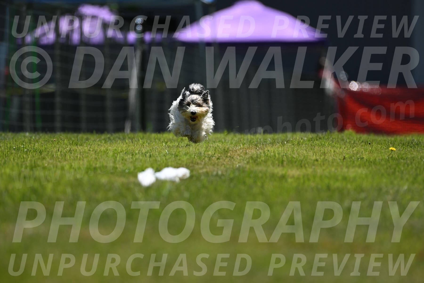 SUN_0749