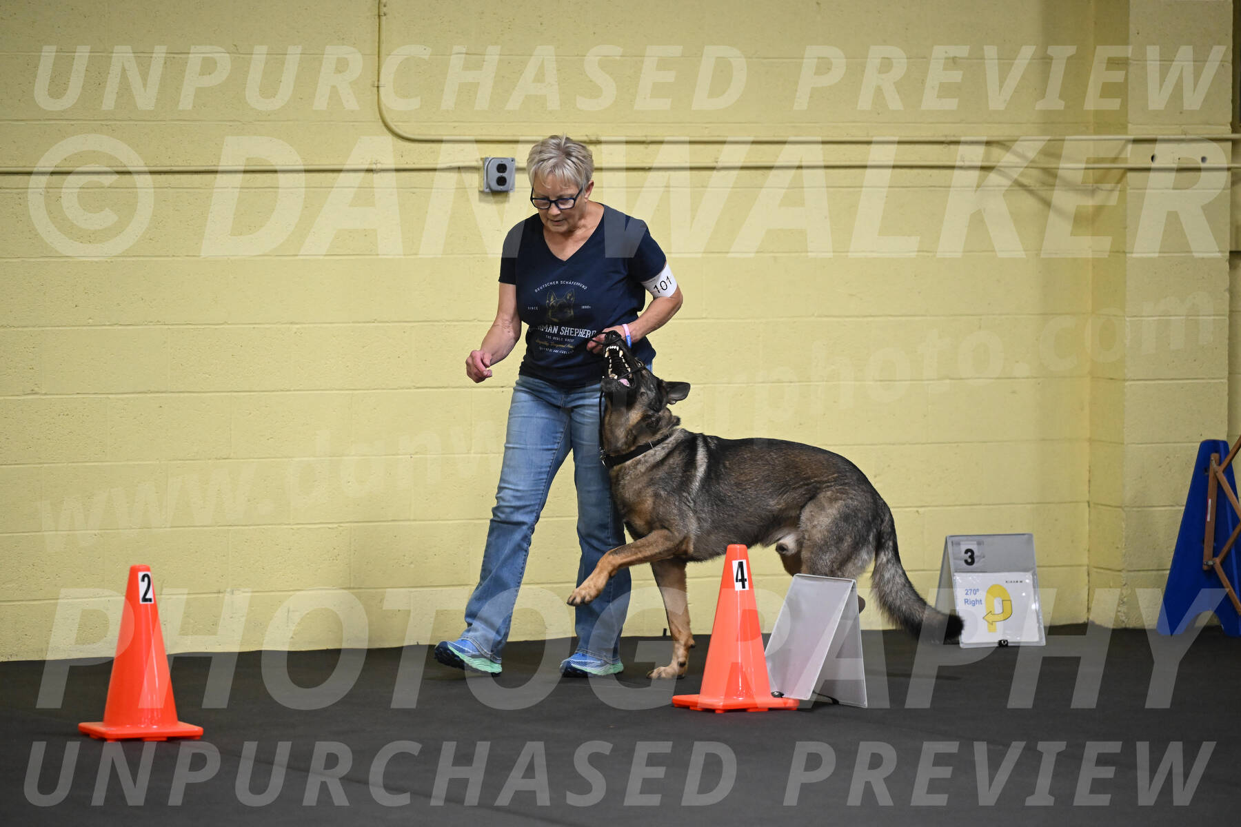 SAT101_0014