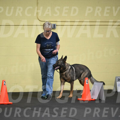 SAT101_0019
