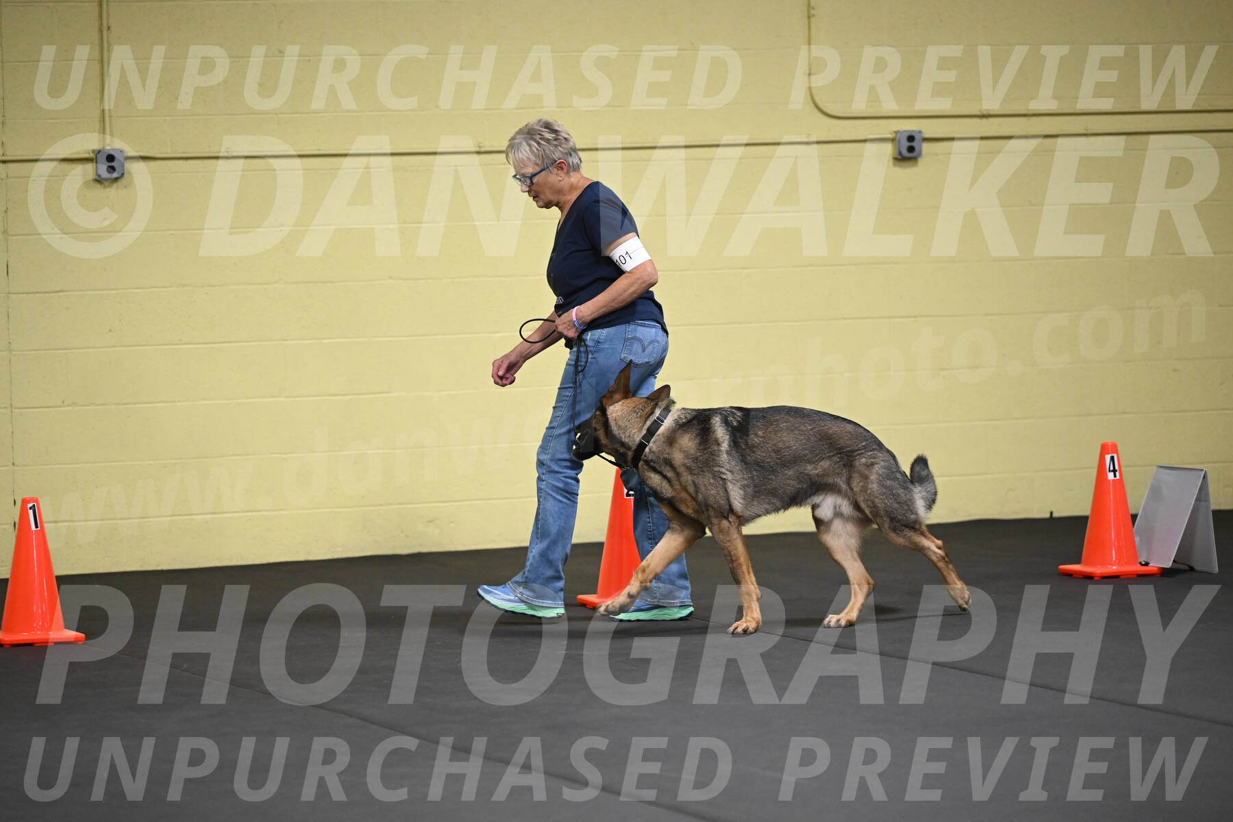 SAT101_0031
