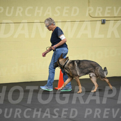 SAT101_0031