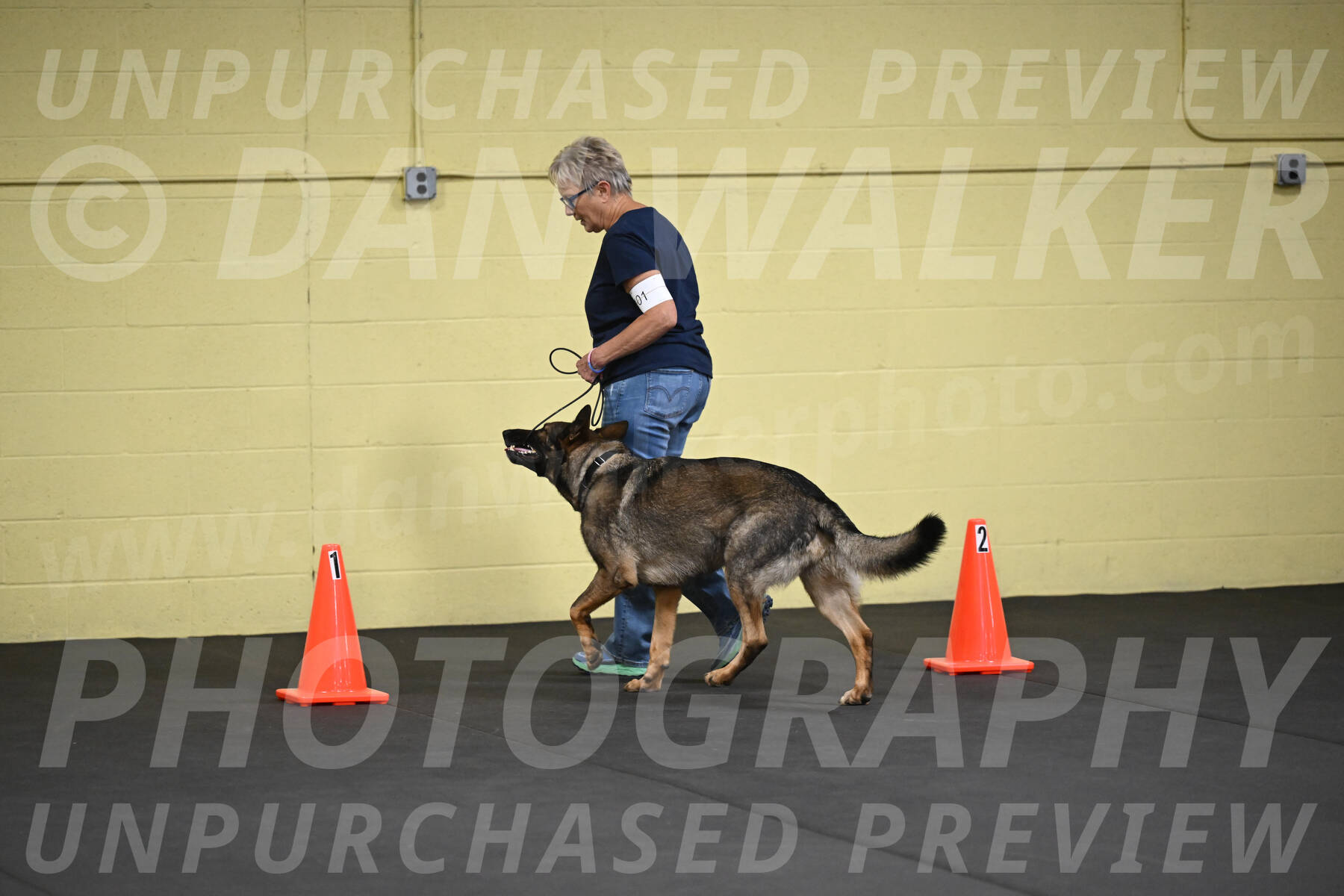 SAT101_0033