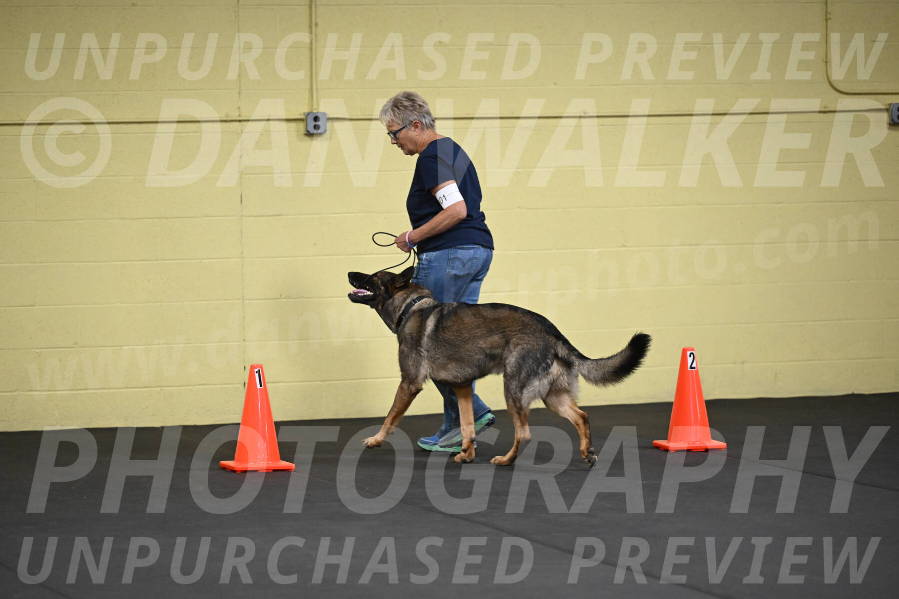 SAT101_0034