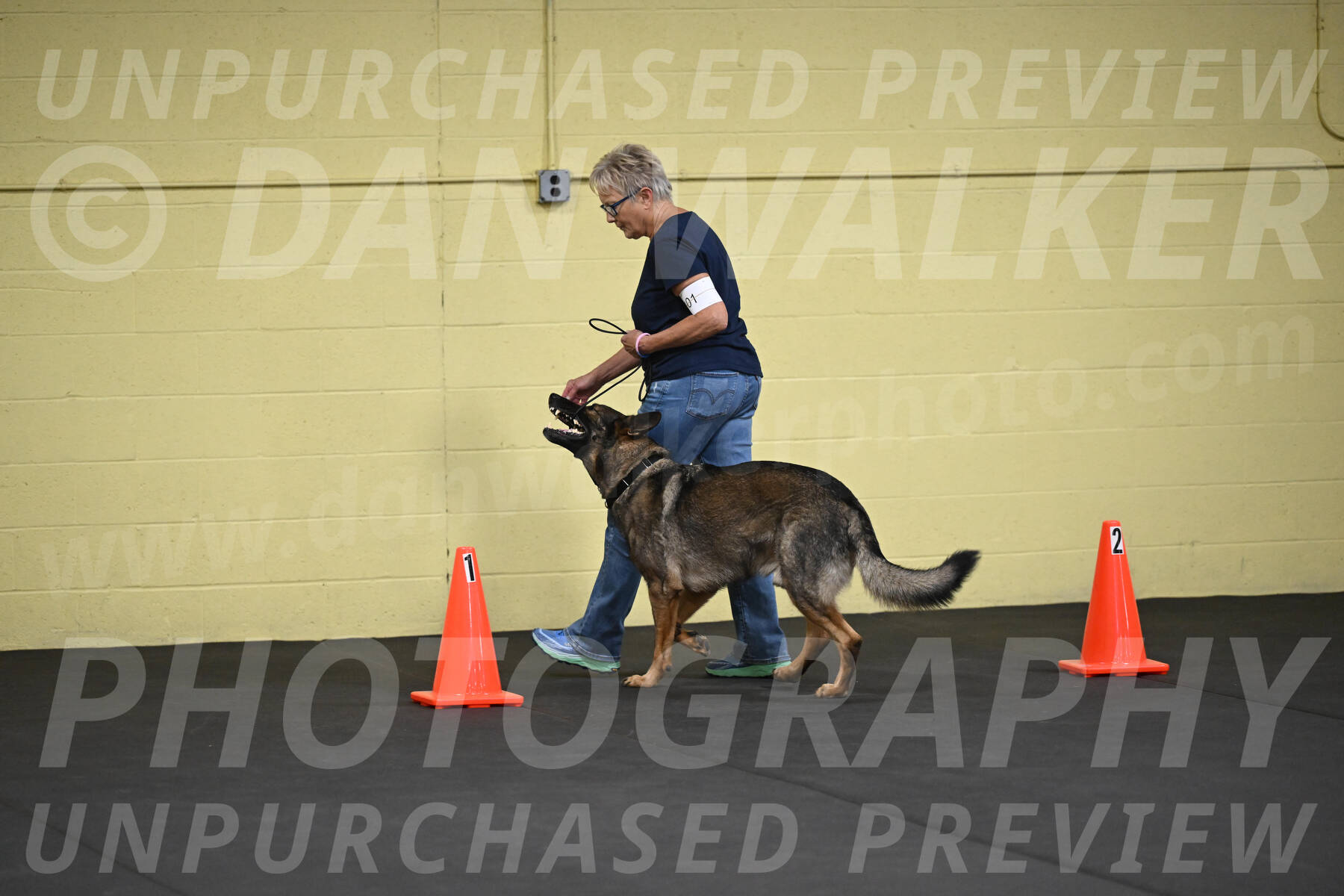 SAT101_0035