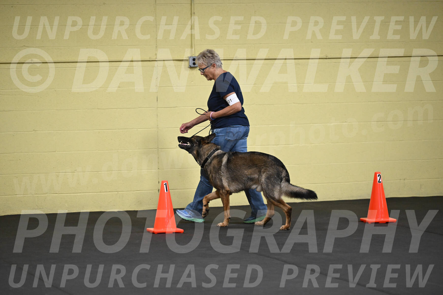 SAT101_0036