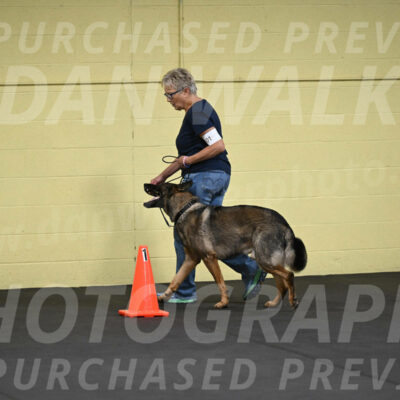 SAT101_0037
